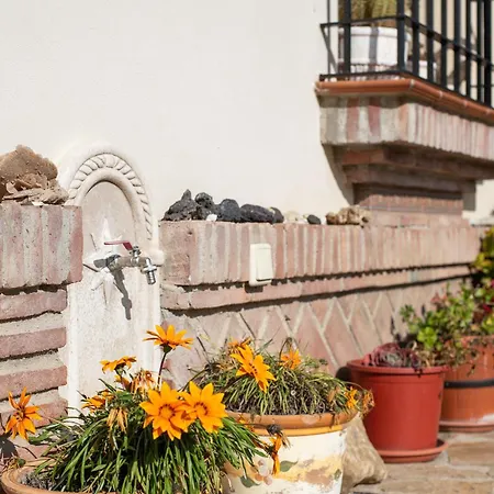 Casa Ayala *